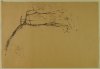 1940-1950 ca. - Albero
